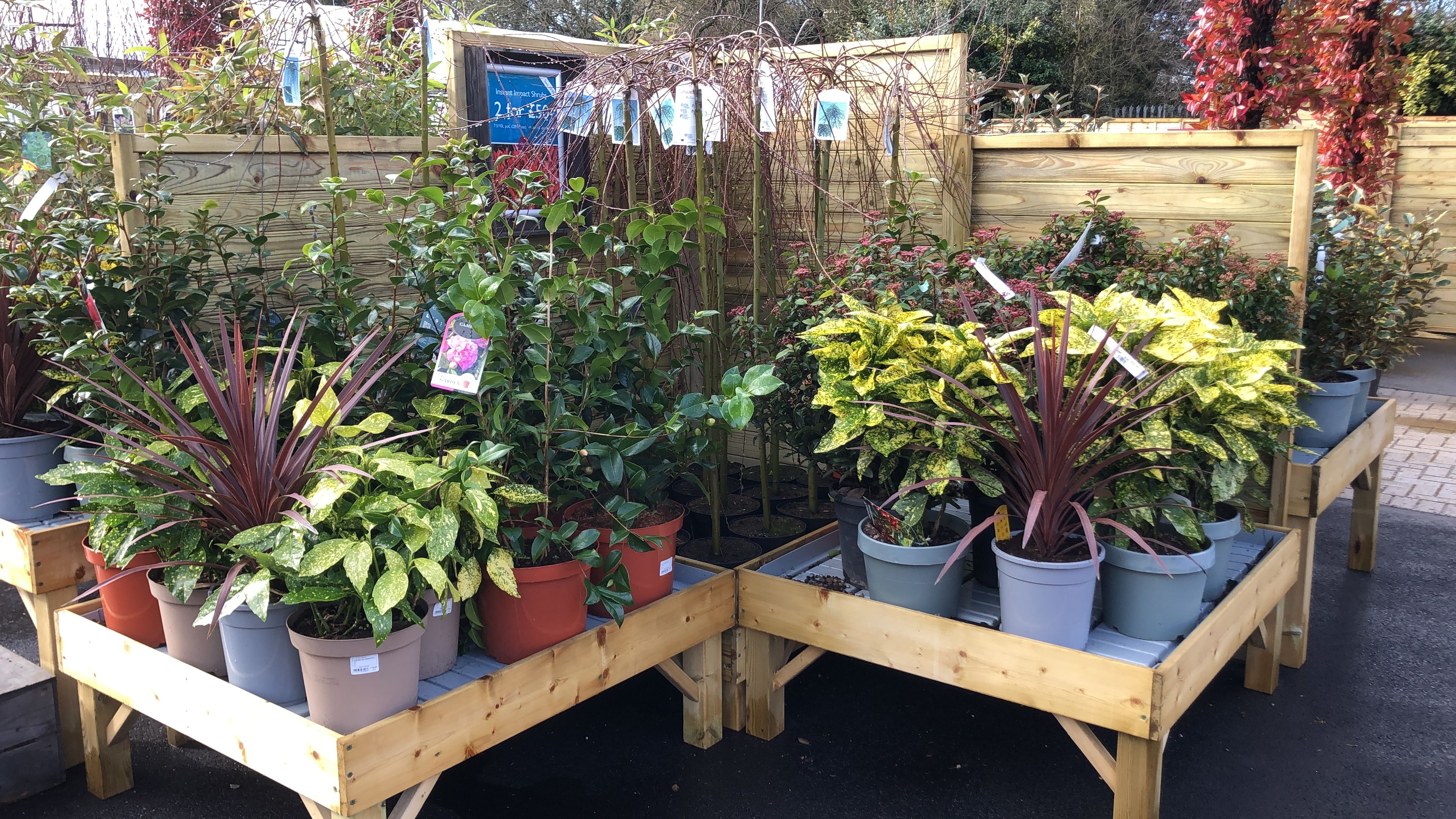 Timber Displays Limited