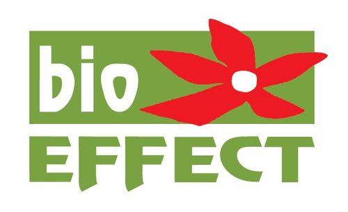 BIOEFEKTS