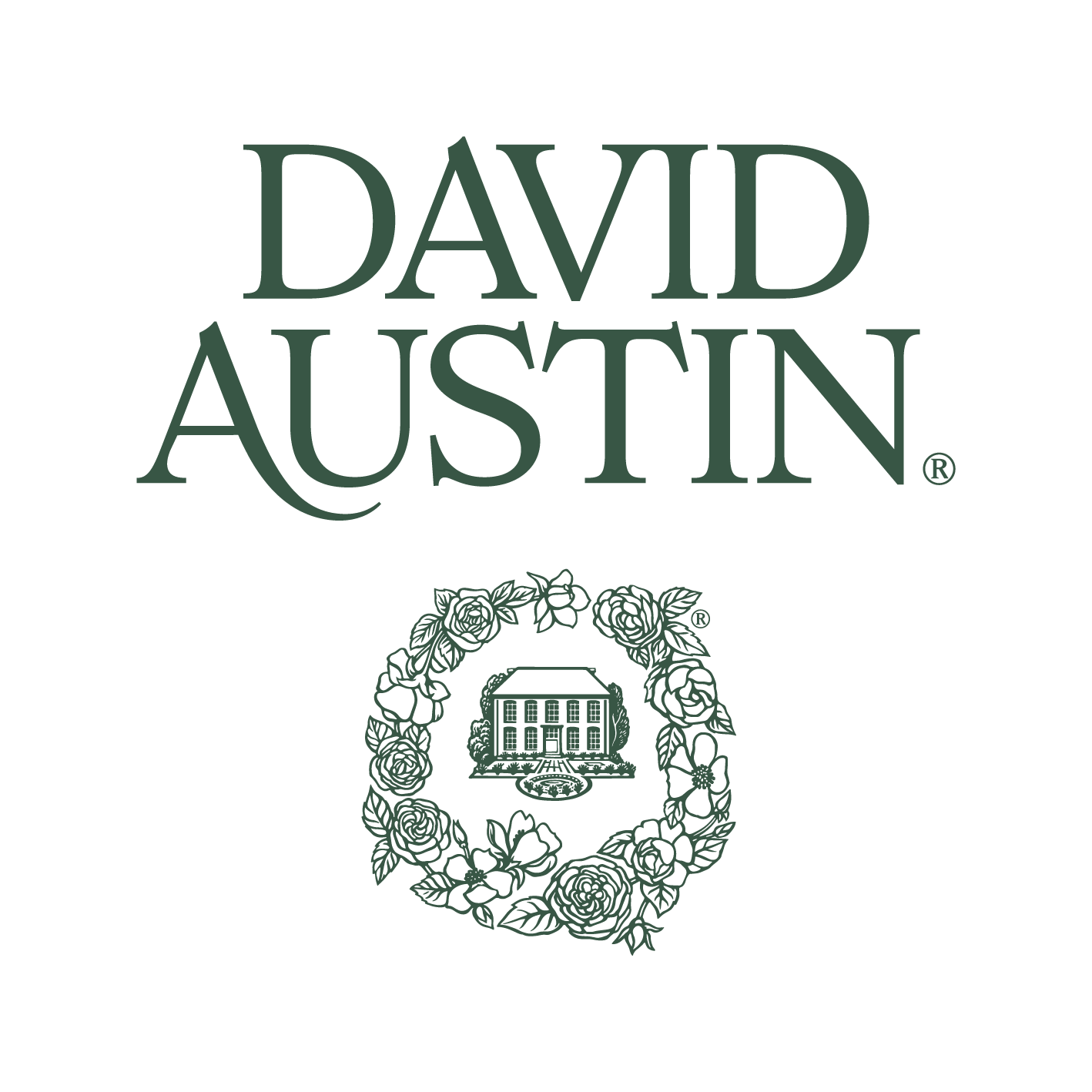 David Austin Roses