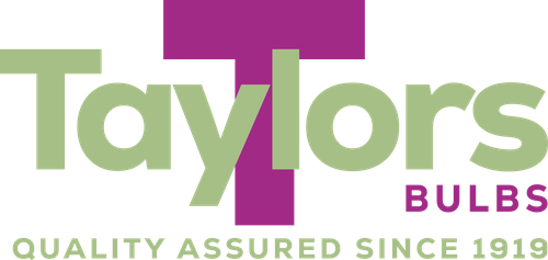 Taylors Bulbs