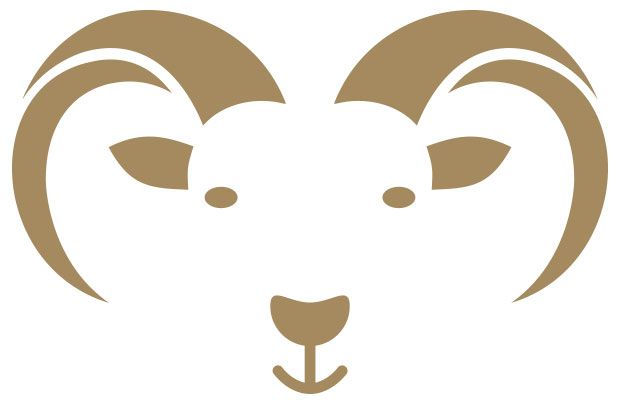 Sheep Unique