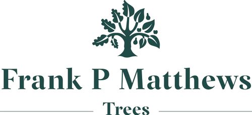 Frank P Matthews
