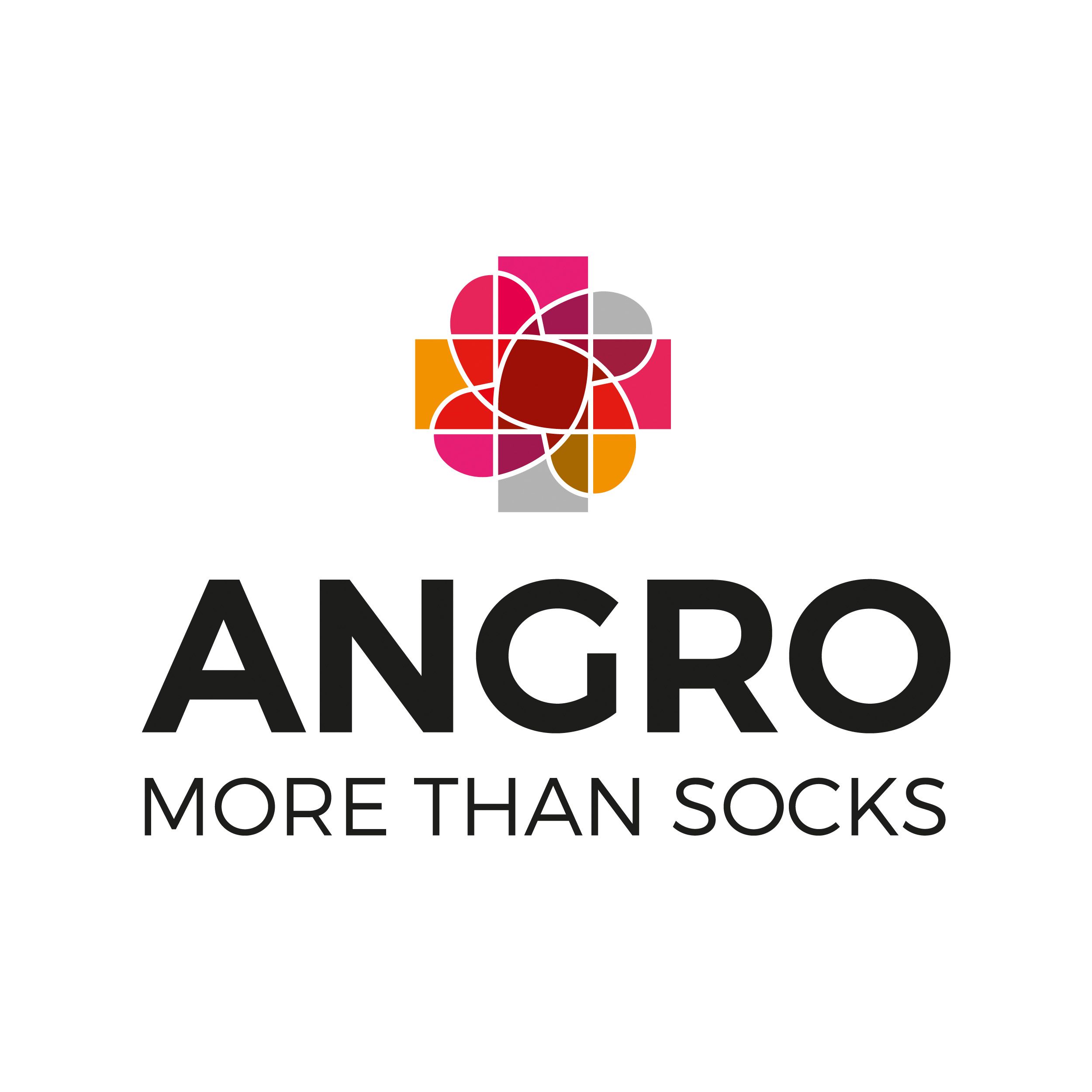 Angro BV