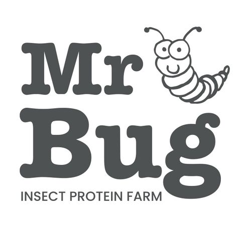 Mr Bug Insect Protein Dog Treats