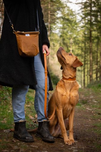 Storeys and Tails, Luxury leather and walking bag