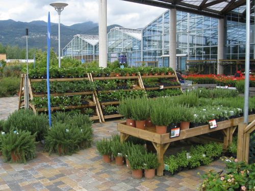 Plant Area Benching, Staging and display stands by Stagecraft Display - The Garden Centre Retail Display Specialists 2