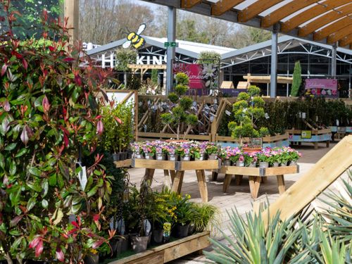 Plant Area Benching, Staging and display stands by Stagecraft Display - The Garden Centre Retail Display Specialists 3