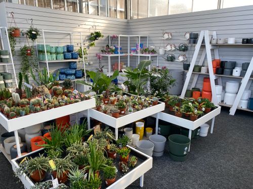 Houseplant Retail Displays by Stagecraft Display Ltd - The Garden Centre Retail Display Specialists