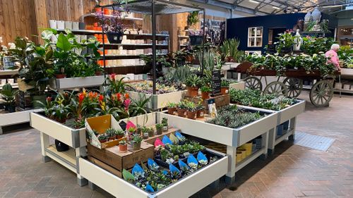 Houseplant Retail Displays by Stagecraft Display Ltd - The Garden Centre Retail Display Specialists