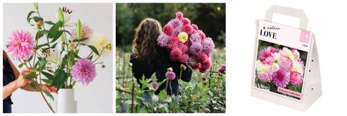 Bouquet Collection