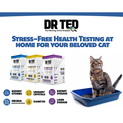 Revolutionary Cat Health Testing!