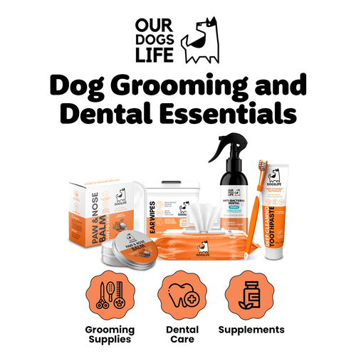 Dog Grooming Essentials