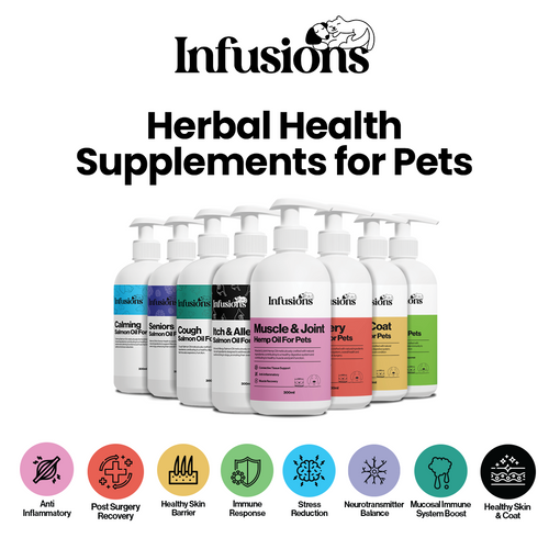 Organic Herbal Health Supplements for Pets