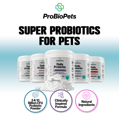 Super Probiotics for Pets