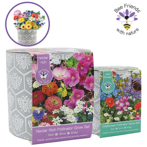 Bee Friends Pollinator Planters