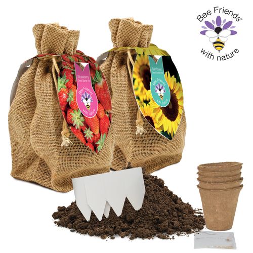 Bee Friends Seed Starter Gift Sets