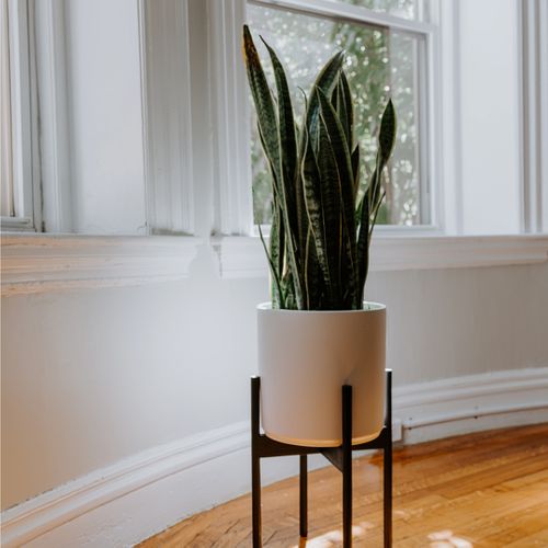 Plant Pot Stand