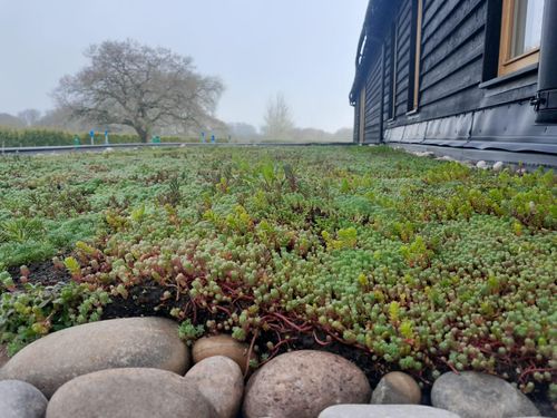 Living roof system.