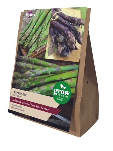 GYO Asparagus Collection