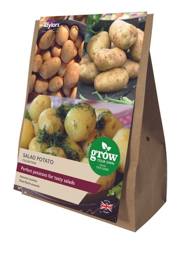 GYO Salad Potato Collection