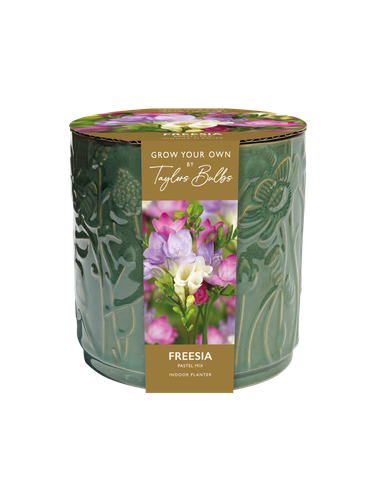 GYO Freesias Ceramic Gift Pot