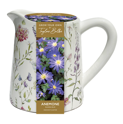 GYO Anemone Ceramic Floral Gift Jug