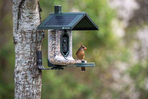 FeatherSnap Ai Seed Feeder