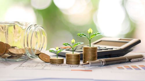 How the Autumn Budget 2024 Impacts the Gardening and Horticulture Industry
