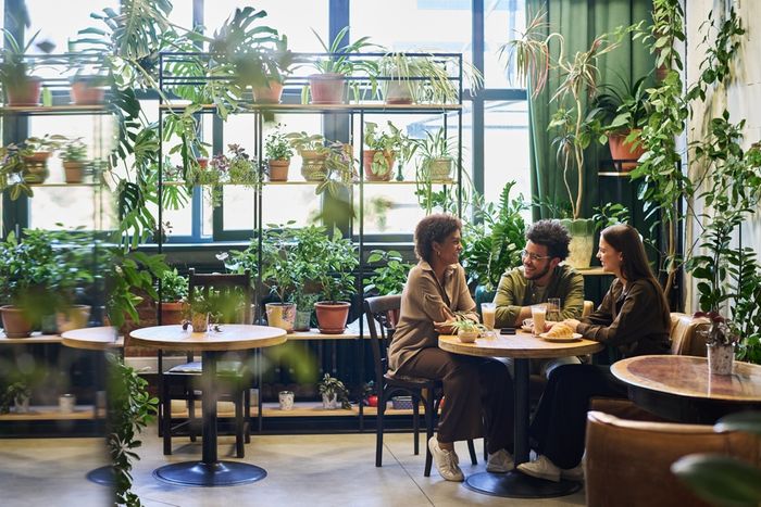 Maximising Success with Cafés and Food Retail in Garden Centres - Speaker Spotlight: Glee 2024