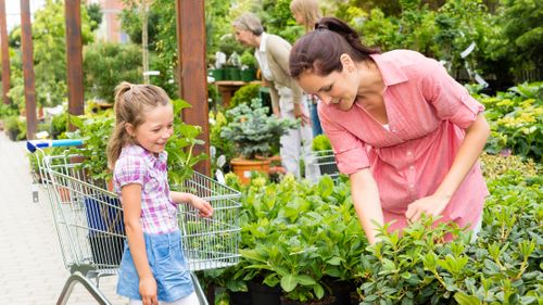 How Garden&nbsp;Centres&nbsp;Are Becoming the Ultimate Mother's Day Destination&nbsp;