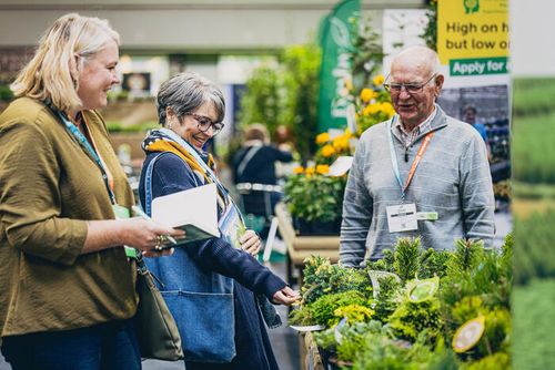 Sowing Seeds of Loyalty: A New Approach to Rewards Programmes