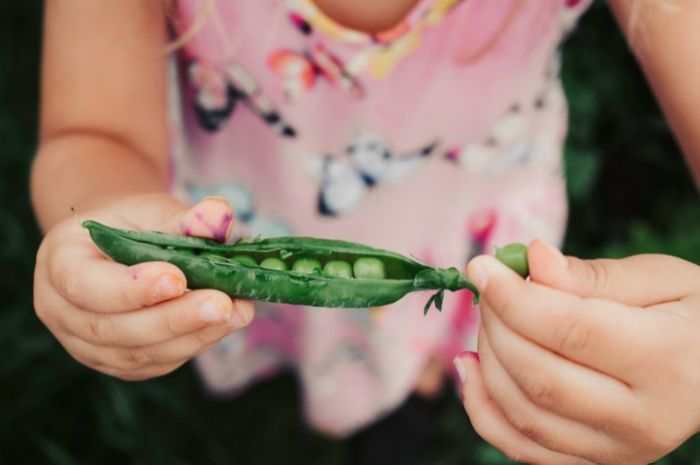 ‘Homegrown’ changes garden retail