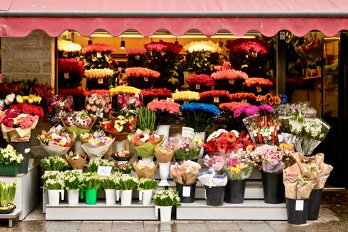 10 Creative Visual Merchandising Ideas for Your Horticulture Brand 