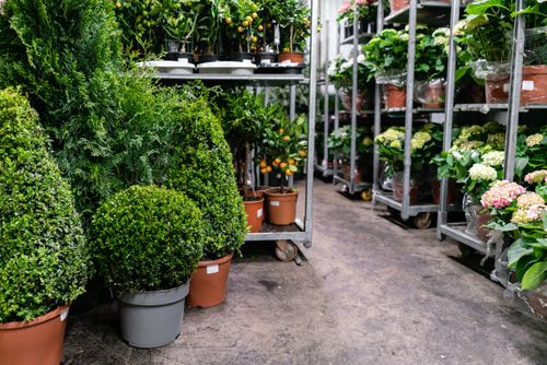 Best Practices for Managing Garden Inventory and Seasonal Stock