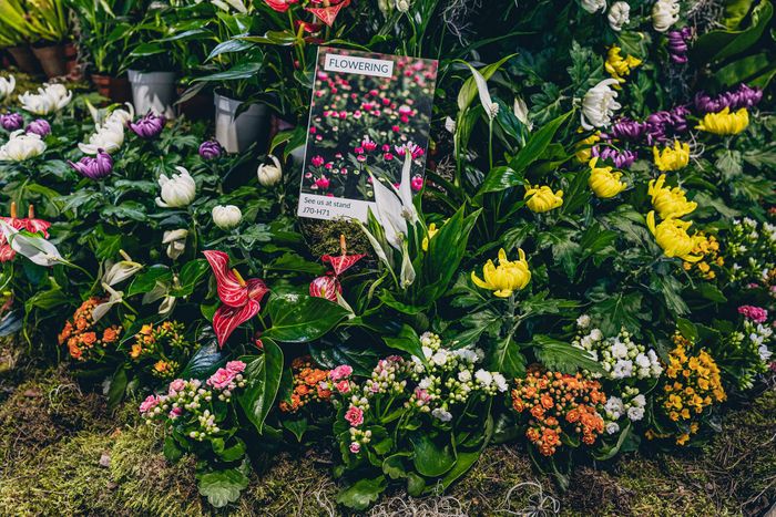 Building a Strong Supply Chain: Key Strategies for Garden Horticulture