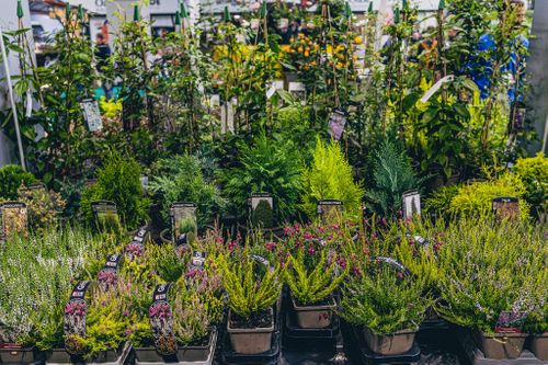 Your Guide to Sustainable Supplier Sourcing in Garden Retail