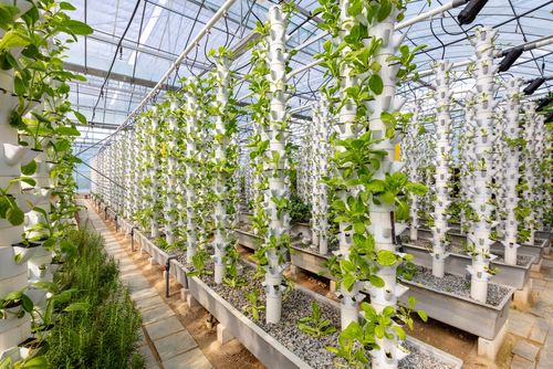 The Top 5 Tech Trends In Horticulture