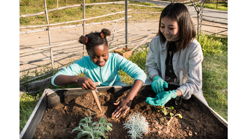 How Can Gardening Boost Your Health?