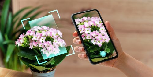 How AI in Retail Can Transform Garden Centres