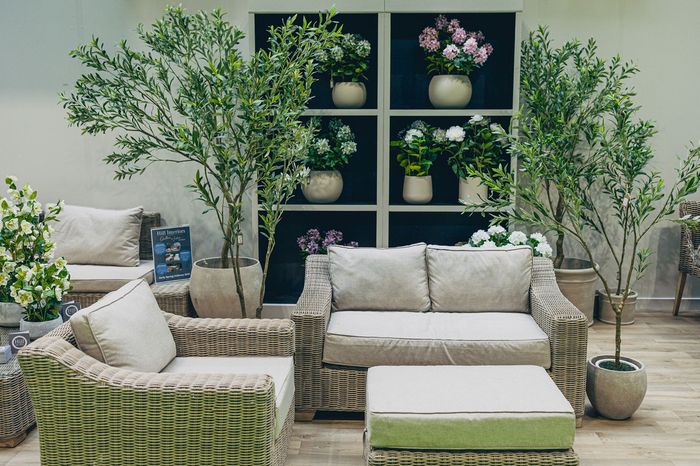 The Evolution of Garden Centres: From Nurseries to Lifestyle Hubs 