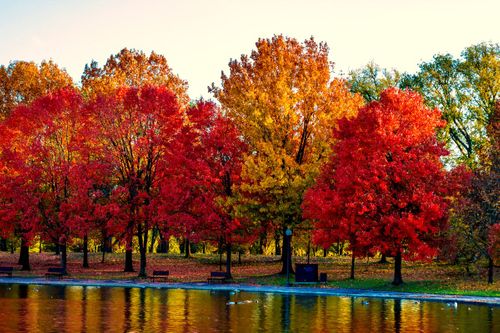 &nbsp;National Trust Warns of a “Confused” Autumn