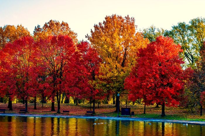  National Trust Warns of a “Confused” Autumn