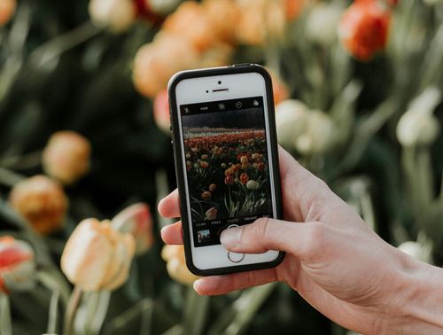Embracing Influencer Marketing for Garden Retail Success