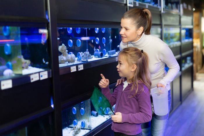 Why Garden Centres Are Becoming the UK's Favourite Pet-Friendly Destination 