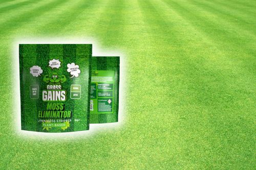 How Grass Gains Grew&nbsp;Their Brand Through&nbsp;Glee&nbsp;
