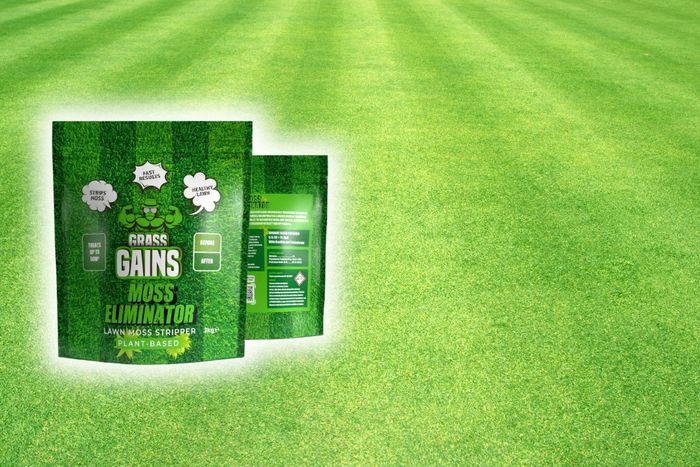 How Grass Gains Grew Their Brand Through Glee 
