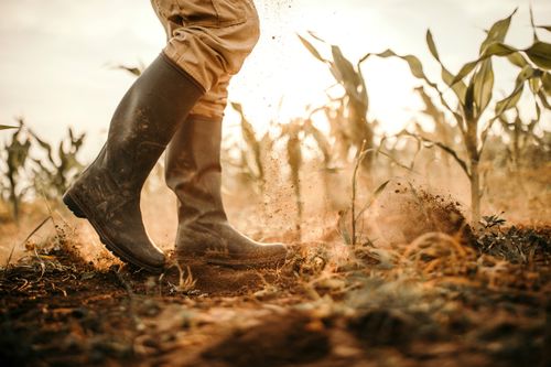 The &pound;65m Drought Package Explained: What Does It Mean for Gardeners and Garden Centres?