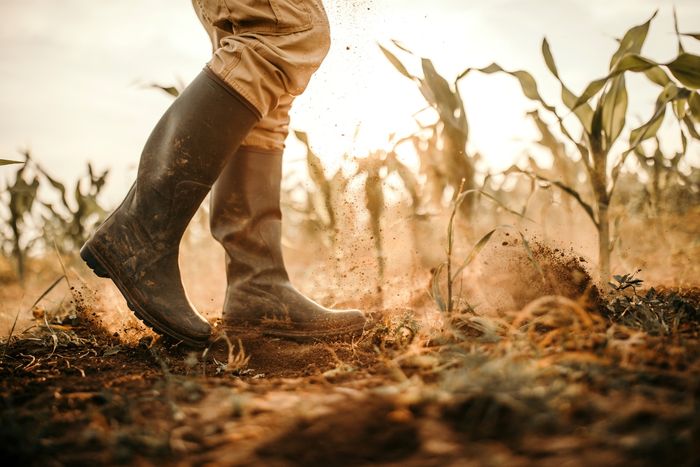 The £65m Drought Package Explained: What Does It Mean for Gardeners and Garden Centres?
