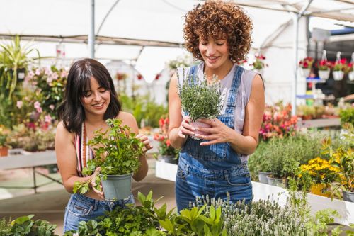 Earth Day Every Day and the New Sustainability Role of Garden Centres in 2026