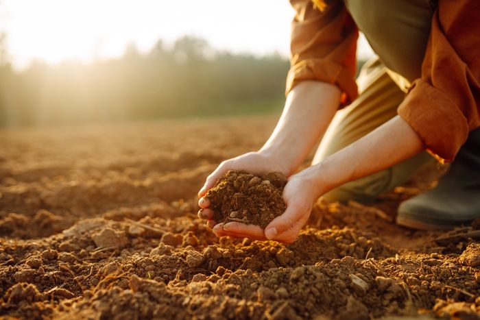Regenerative Gardening and Its Retail Potential